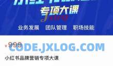 小红书品牌营销专项大课