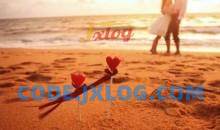 《情叔叔入房术》涵盖：实战战略调情理论，各种场合操作指南，慢半拍原理等内容