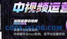 青檬MCN创始人亲自带你0基础5天学会中视频创作，深度运营中视频，掌握平台运营规则