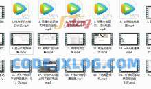 《苹果手机维修必备理论课》全套入门教学视频（21集）