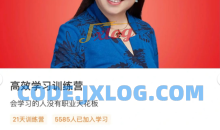 李倩 高效学习训练营职场人具备能力