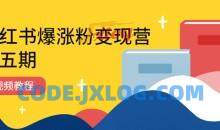 小红书爆涨粉变现营（第五期）