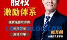 臧其超：股权激励体系（爆款视频课）