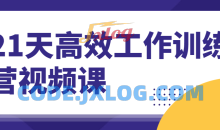 21天高效工作训练营视频课程
