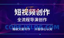 短视频创作和全流程导演创作，抖音核心认知，爆款文案写作，拍摄剪辑口播，运营创收管理