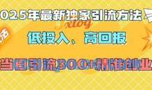 2025年最新独家引流方法，低投入高回报？当日引流300+精准创业粉