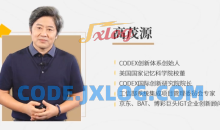 高茂源-互联网时代创新密码20讲：百度阿里都在用的CODEX创新体系