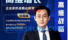 刘海峰高维增长：企业家的战略必修课_新版 （20节）