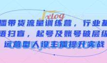 直播带货流量训练营，行业基础术语扫盲，起号及账号破层级，运营型人设主播提升实战