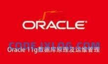 Oracle 11g数据库原理及运维管理