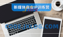 新媒体商业IP基础训练营视频