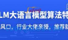 LLM大语言模型算法特训 带你转型AI大语言模型算法工程师