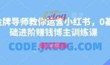 金牌导师教你运营小红书，0基础进阶赚钱博主训练课