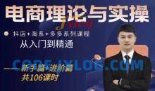 电商理论与实操从入门到抖店淘系多多