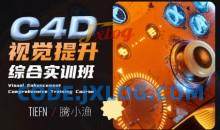 腾小渔C4D视觉提升综合实训班2023年
