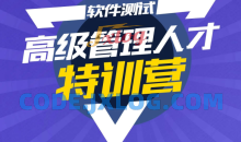 柠檬班：测试管理组长经理总裁班