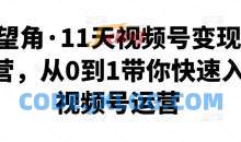 好望角·11天视频号变现训练营教程