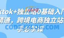 tiktok+独立站0基础入门到精通跨境电商
