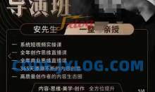 安先生新媒体导演班内容思维美学创作