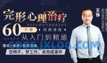 王铮完形心理治疗60节从入门到精通