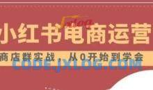 小红书店铺运营从小白到大神2.0教程
