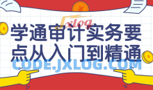 学通审计实务要点从入门到精通课程