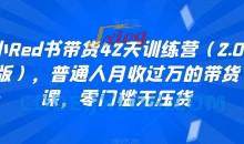 小Red书带货42天训练营零门槛无压货
