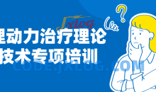 心理动力治疗理论与技术专项培训