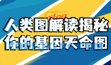 人类图解读揭秘你的基因天命图教学