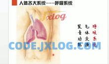 李哲老师讲人体组织和结构10课集