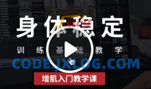 健身增肌身体稳定训练基础增肌入门教学课