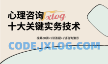 心理咨询十大关键实务技术 视频60讲