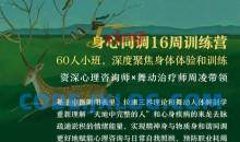 周凌：身心同调16周训练营整合中医