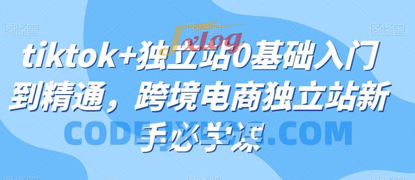 tiktok+独立站0基础入门到精通跨境电商 tiktok+独立站0基础入门到精通跨境电商