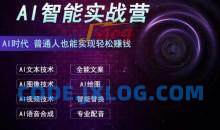 AI智能赚钱实战营保姆级、实战级教程，新手也能快速实现赚钱