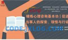 锤炼心理咨询基本功探索领悟与行动
