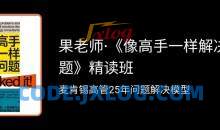 果老师像高手一样解决问题精读班
