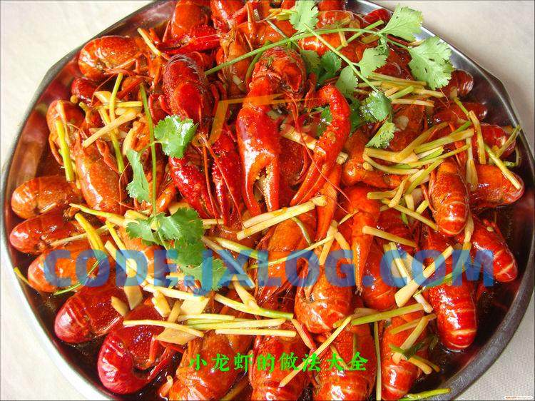 小龙虾做法大全麻辣小波士顿龙虾等 小龙虾做法大全麻辣小波士顿龙虾等
