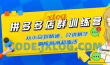拼多多店群训练营 课程从基础到运营
