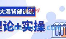 麦大湿背部训练视频课程（理论+实操计划）