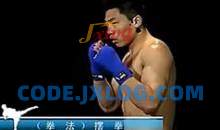 散打视频教学全系列_散打训练格斗术