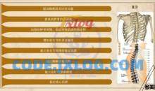 王媚-调理肩颈背酸痛，告别塌腰驼背大宽肩