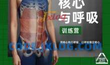 根正派核心与呼吸训练营