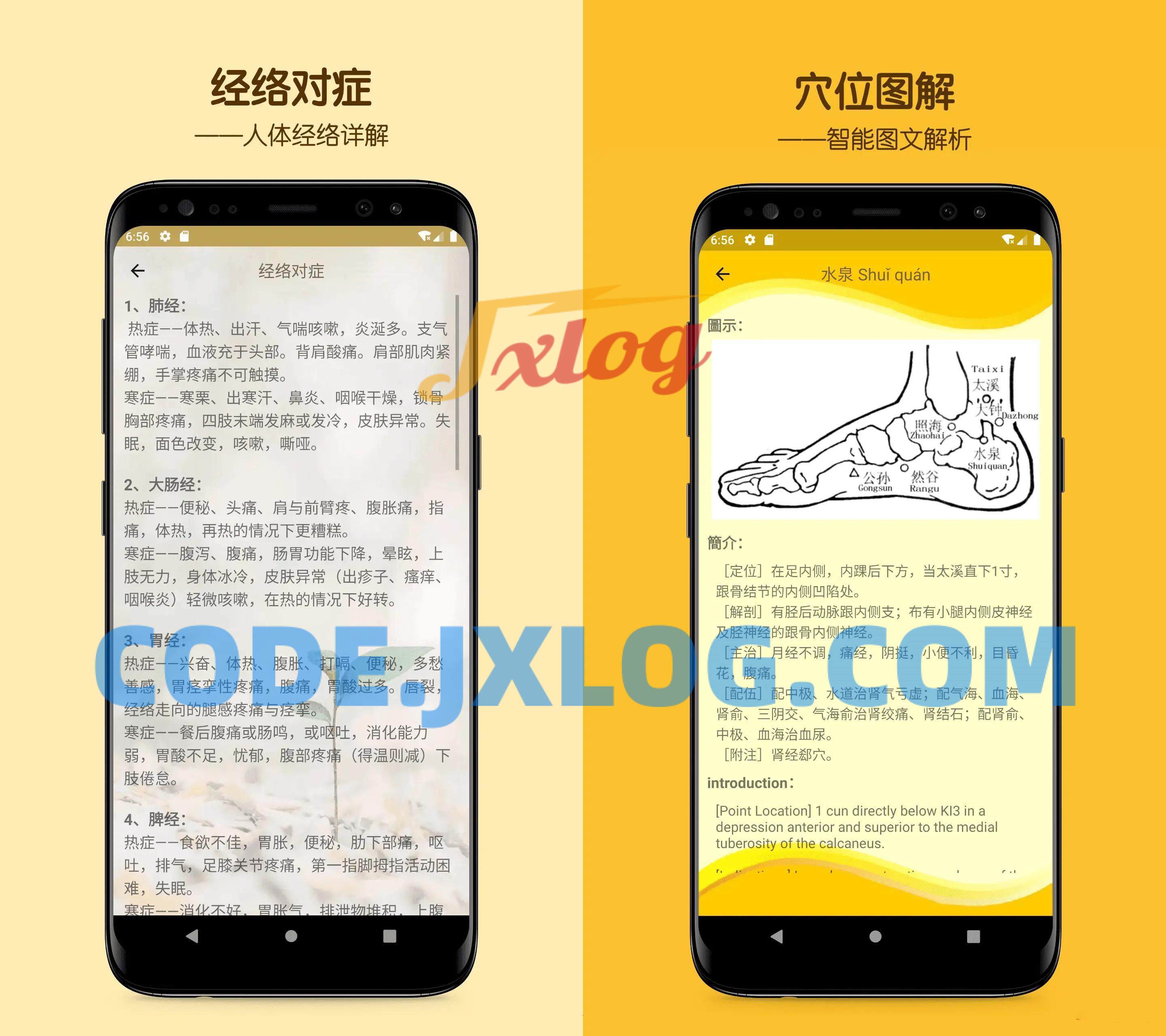 人体穴位图解v3.1.3人体经络去广告版 人体穴位图解v3.1.3人体经络去广告版