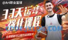 Art职业篮球：33天运球强化课程