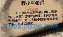 跟程小平老师学中国画视频教学（74集）