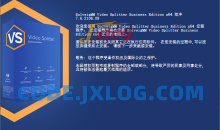 视频无损剪辑神器 SolveigMM Video v8.0.2308