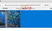 PC小红书笔记图片下载绿色免费v1.0版