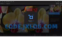 Topaz Photo AI破解版(图片降噪软件)V3.5.20