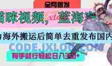 AI猫咪视频蓝海赛道，操作简单，直接海外搬运，简单去重，操作简单，有手就行日入3张